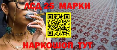 гидропоника Дубна