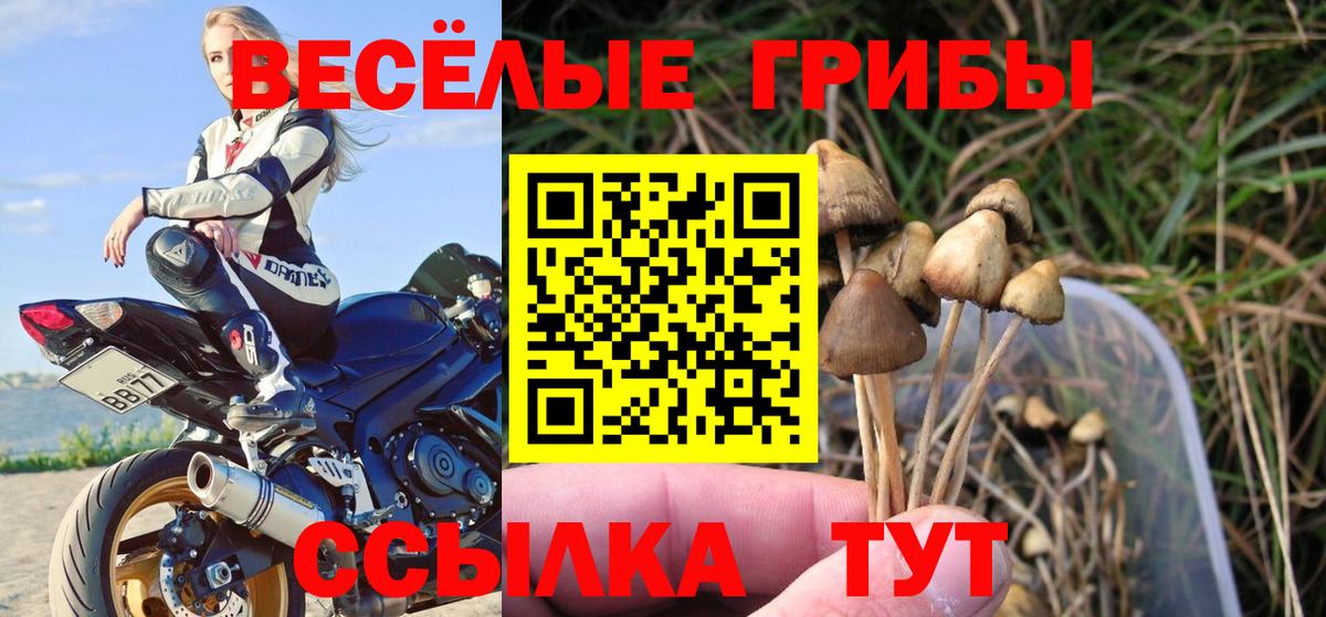 Избербаш  Псилоцибиновые грибы мицелий  Галлюциногенные грибы мицелий  Вход с VPN 